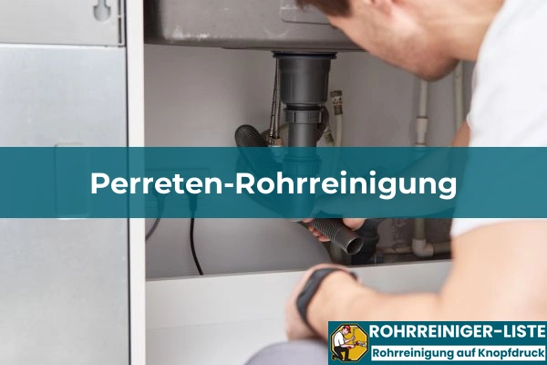 Perreten-Rohrreinigung 1 perreten rohrreinigung img